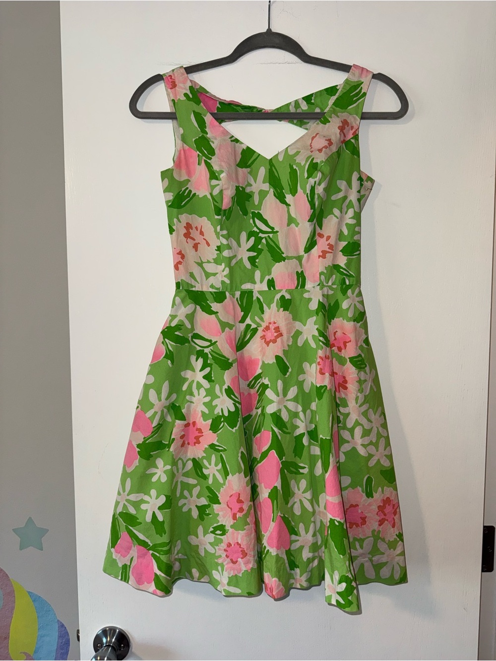 Lilly Pulitzer Freja Fit and Flare dress